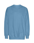 NEUTRAL TIGER COTTON OVERSIZED SWEATSHIRT T63011
