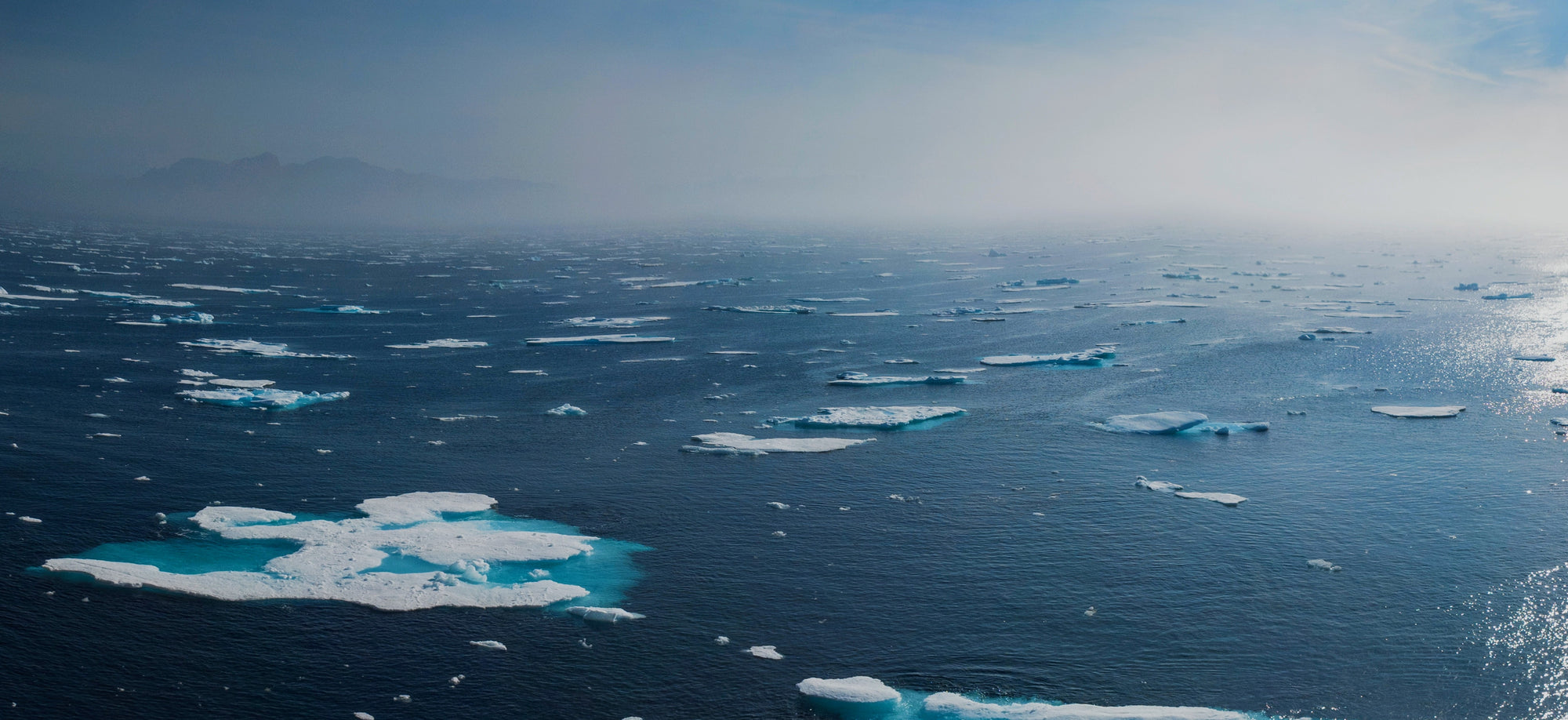 We Declare a Climate Emergency