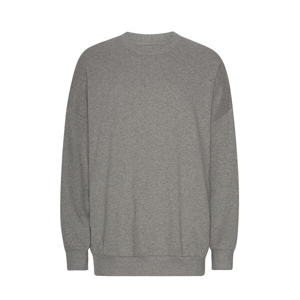 NEUTRAL TIGER COTTON OVERSIZED SWEATSHIRT T63011