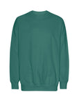 NEUTRAL TIGER COTTON OVERSIZED SWEATSHIRT T63011