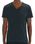 STANLEY/STELLA PRESENTER - MEN'S V-NECK T-SHIRT STTM562